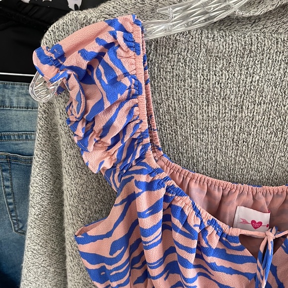 Buddy Love Dress Zebra Blue Pink Large - Picture 5 of 9